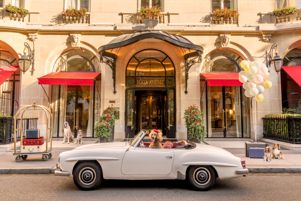 Photography by Gray Malin of Dogs at Hôtel Plaza Athénée
