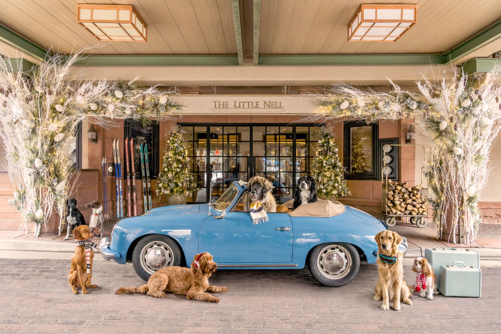 Photography by Gray Malin of Dogs at The Little Nell, Aspen