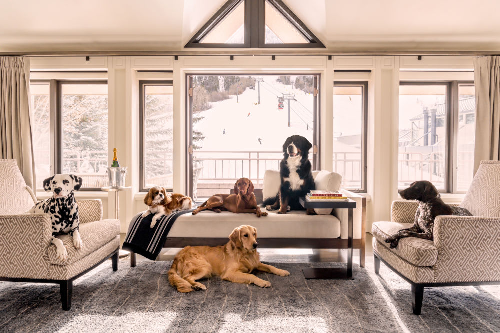Photography by Gray Malin of Fireside Pups, Aspen