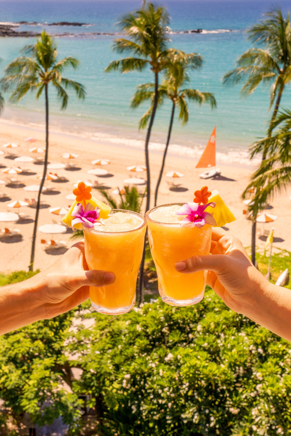 Fredrico Cheers Vertical, Mauna Kea