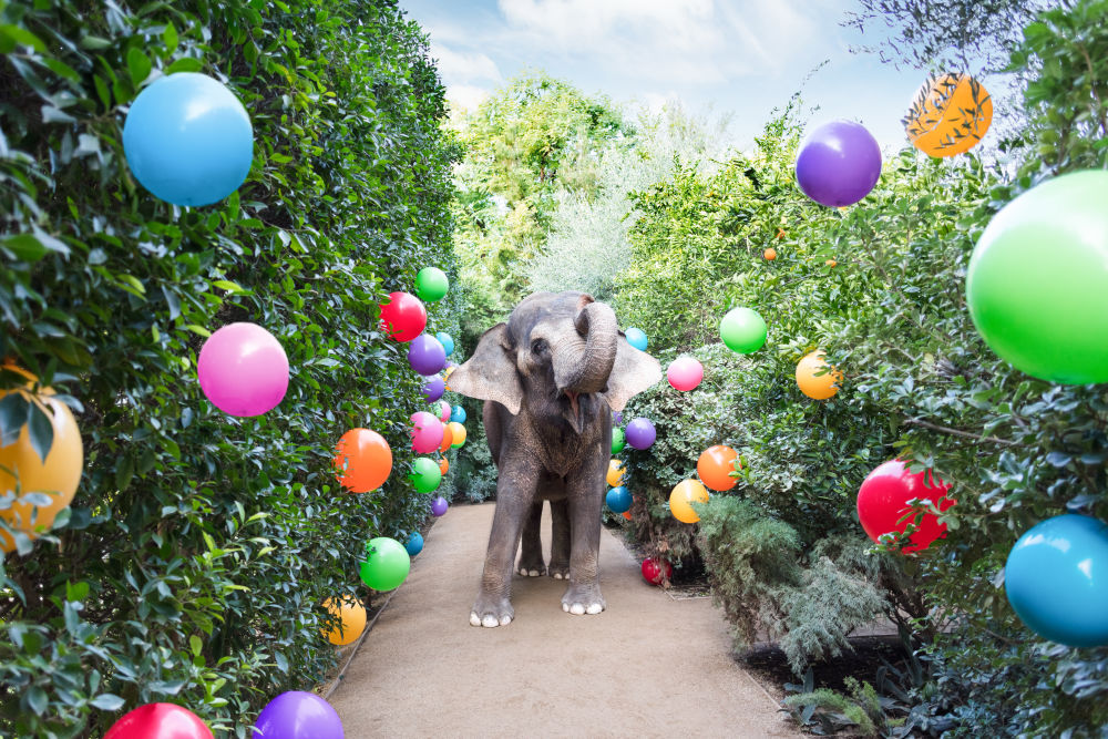 Photography by Gray Malin of Garden Party at the Parker