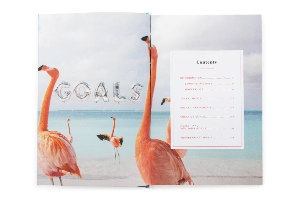 The Goals Guided Journal