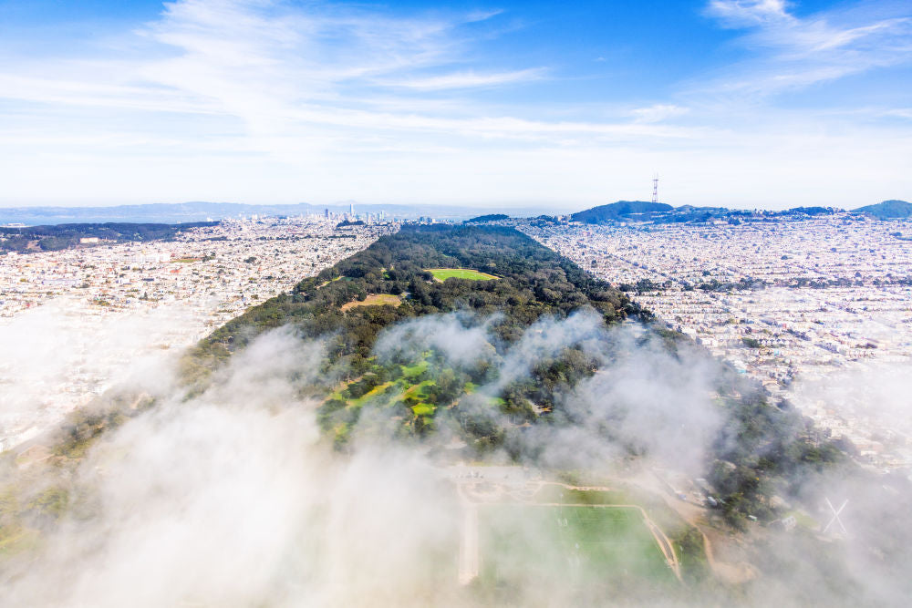 Photography by Gray Malin of Golden Gate Park, San Francisco