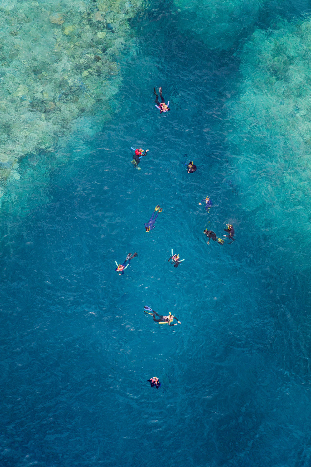 Photography by Gray Malin of Great Barrier Reef Snorkelers, Vertical