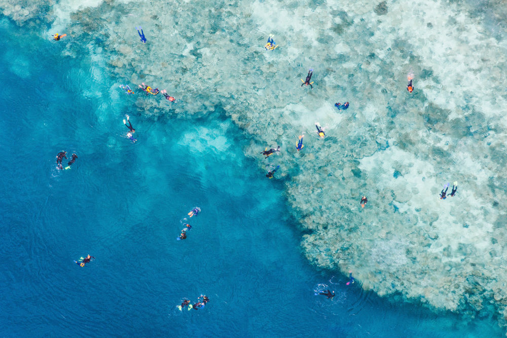 Photography by Gray Malin of Great Barrier Reef Snorkelers