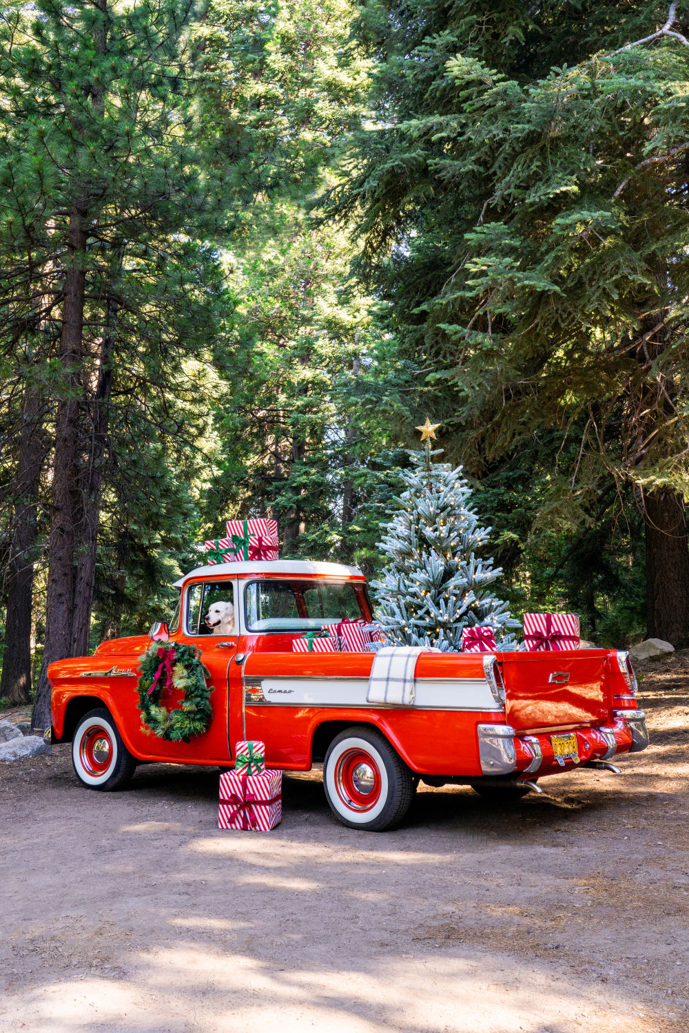 Photography by Gray Malin of Holiday Arrival