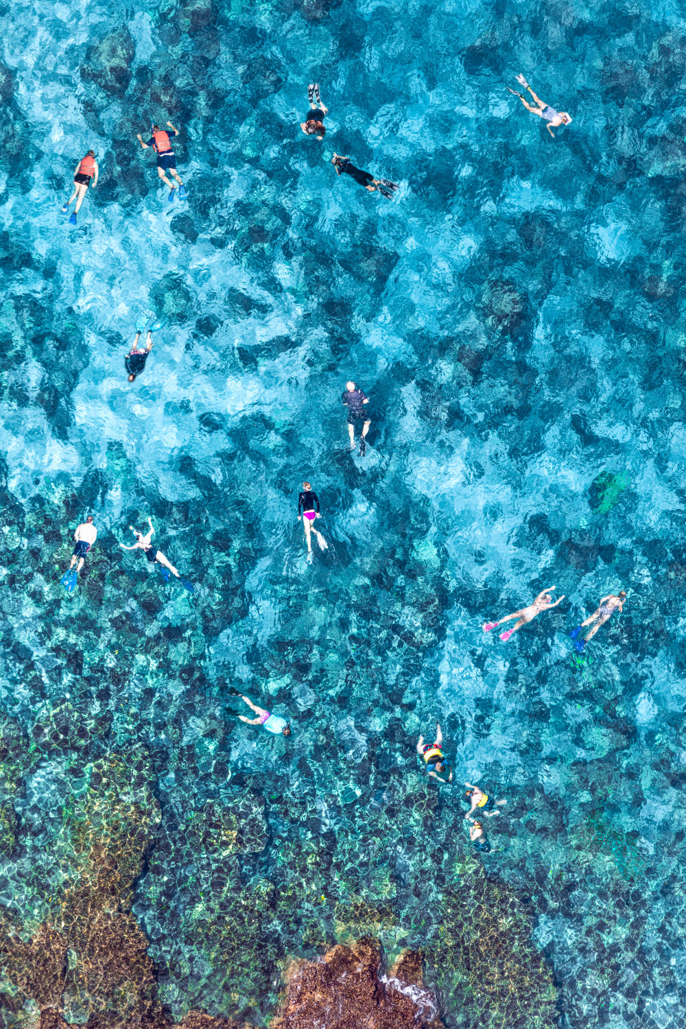 Photography by Gray Malin of Honaunau Bay Snorkelers, Vertical