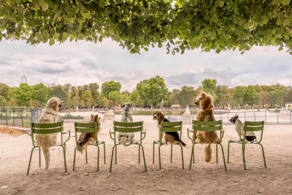 Photography by Gray Malin of Jardin de Tuileries, Paris