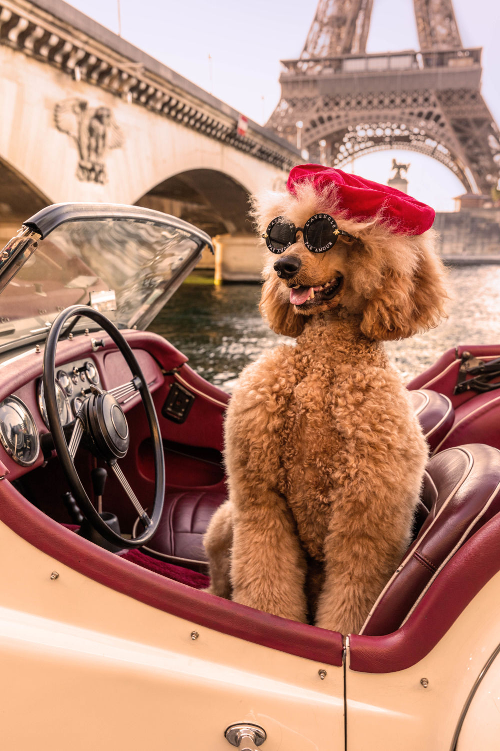 Photography by Gray Malin of Joy Ride, Paris