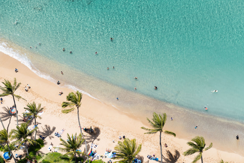 Photography by Gray Malin of Ka’anapali Beach Palm Trees, Maui