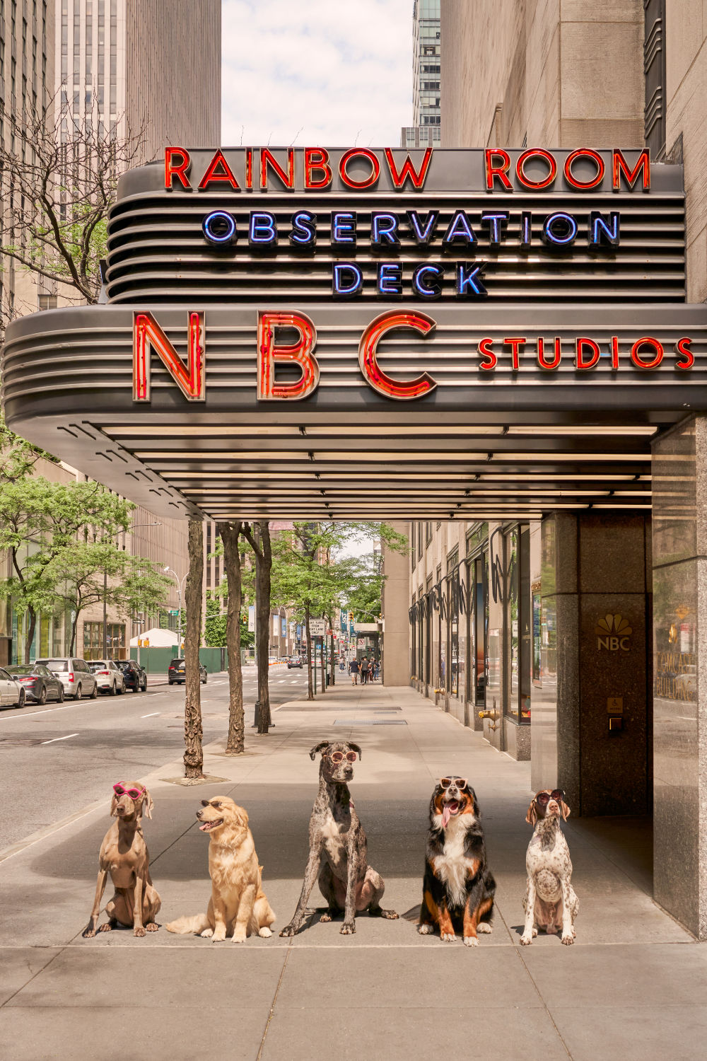 Photography by Gray Malin of Live from New York, Rockefeller Center