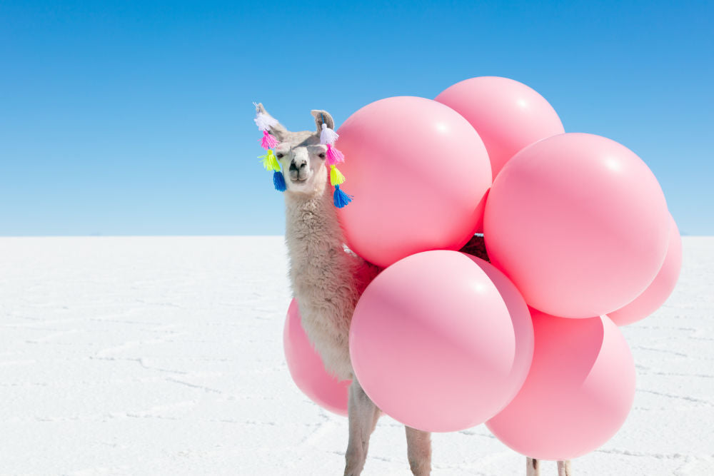 Photography by Gray Malin of Llama with Pink Balloons and Tassels