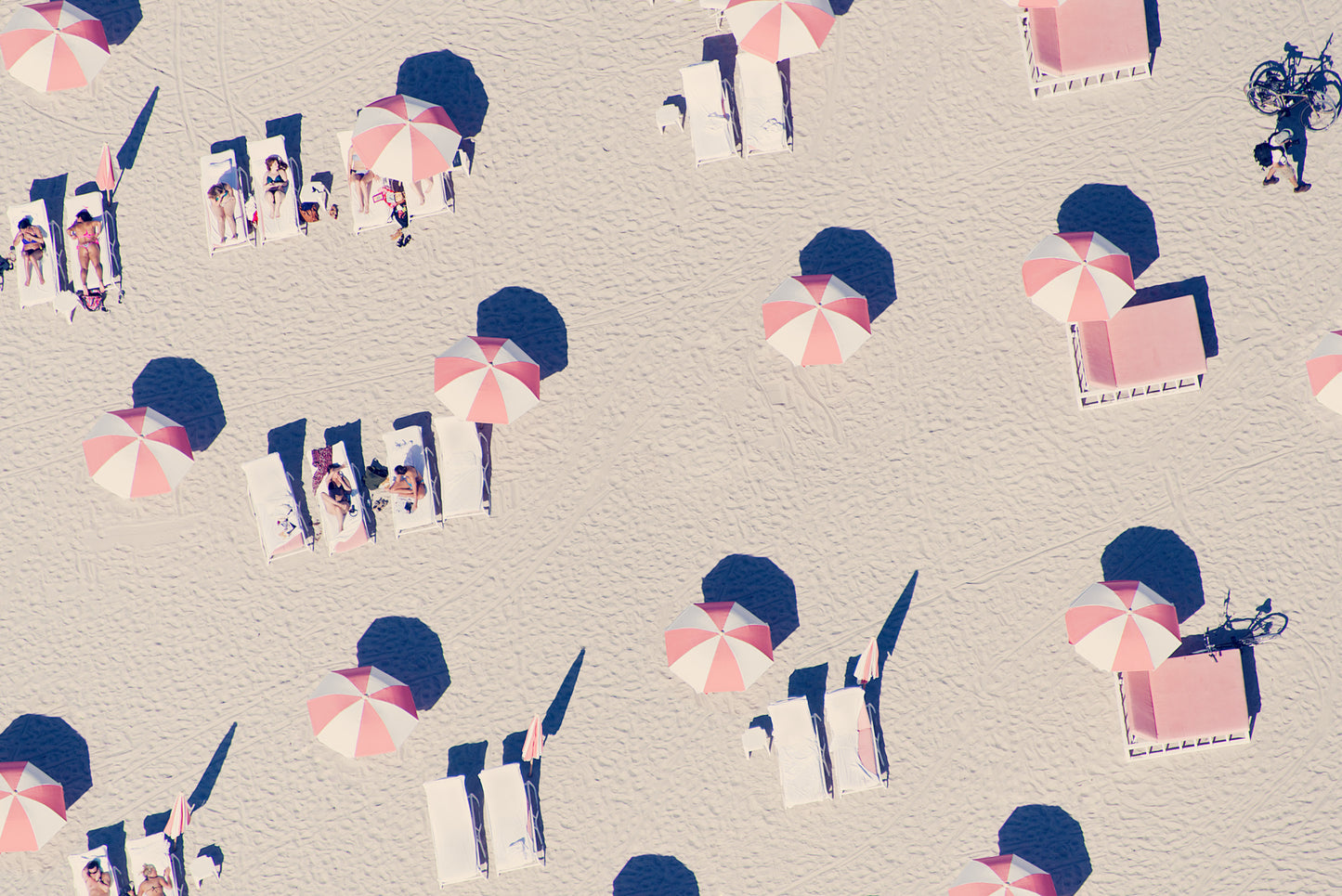 Miami Pink Umbrellas