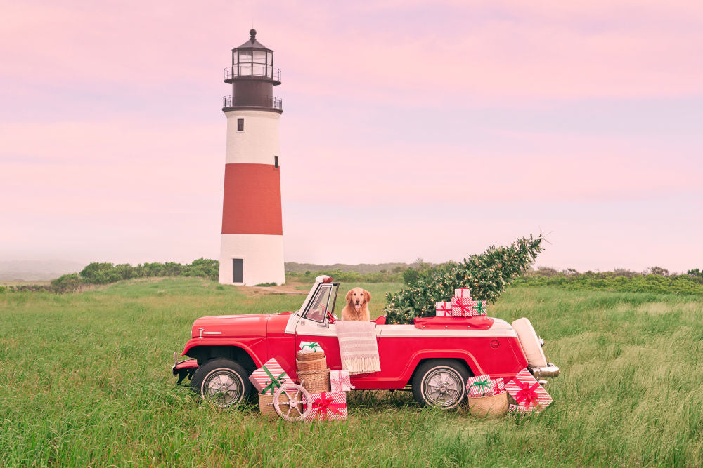Photography by Gray Malin of Nantucket Holiday