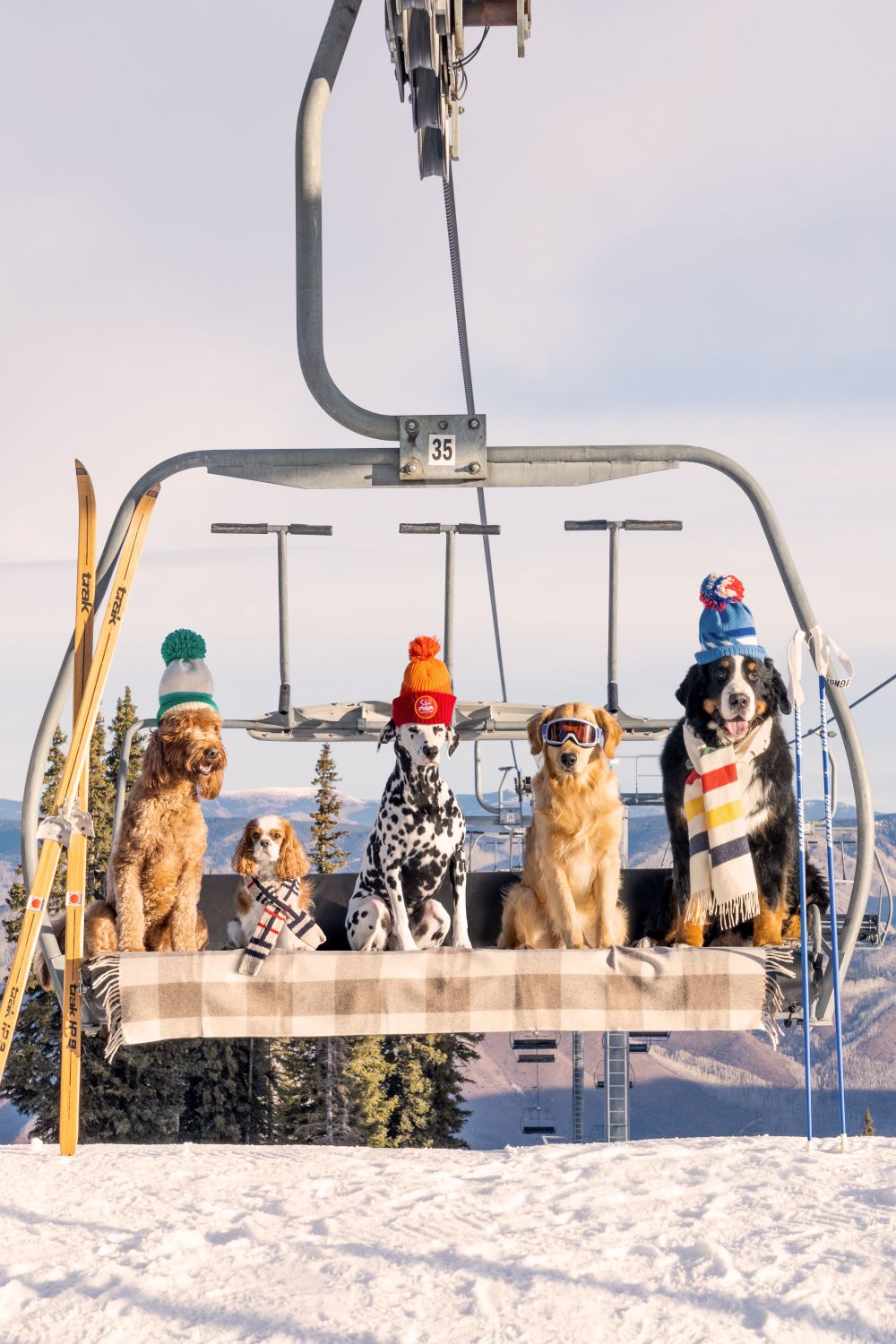 Photography by Gray Malin of Chairlift Pups Vertical, Aspen