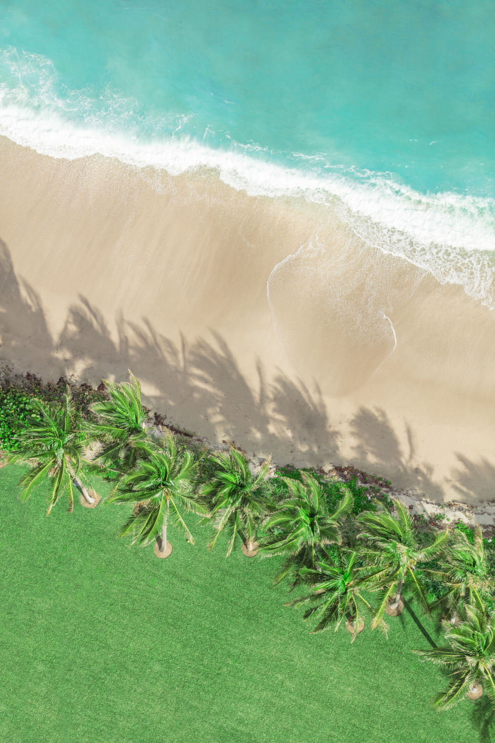 Photography by Gray Malin of Palm Beach Landscape