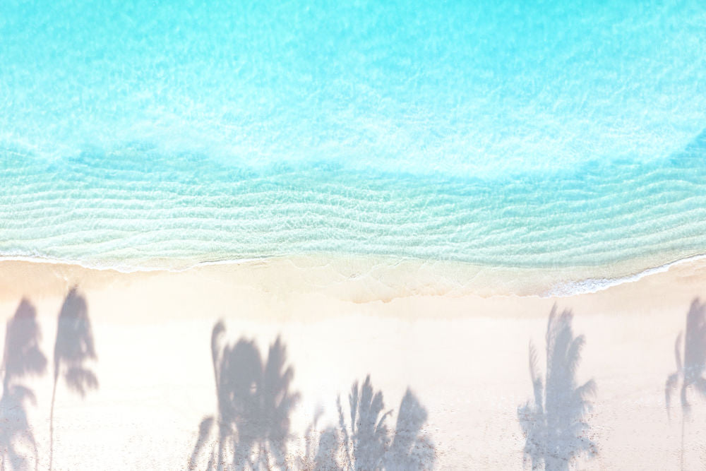 Photography by Gray Malin of Palm Shadows, Oahu