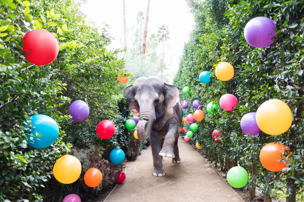 Photography by Gray Malin of Party Time at the Parker