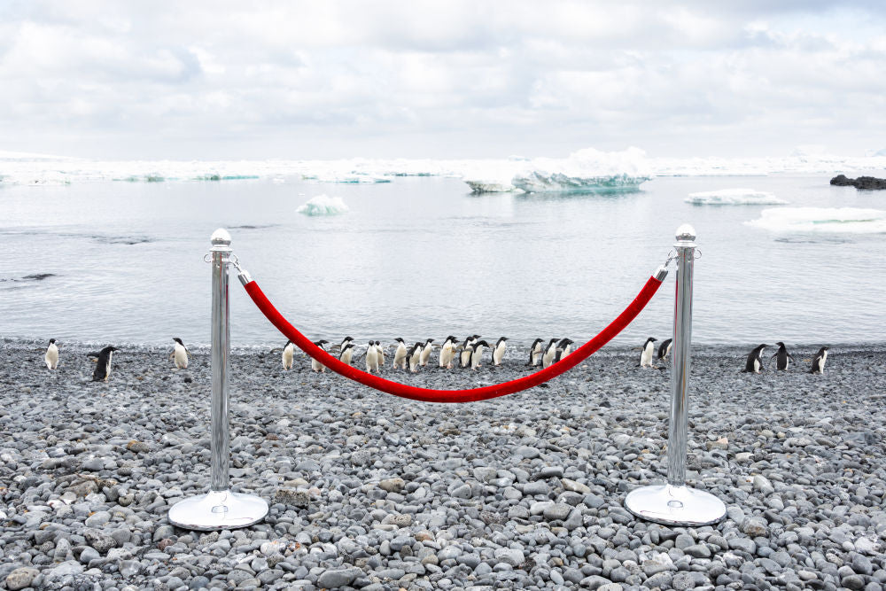 Photography by Gray Malin of Penguin Stanchion, Antarctica