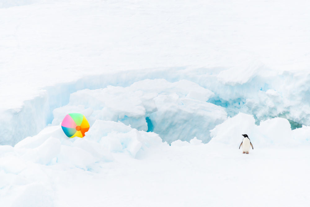 Photography by Gray Malin of Penguin and Beach Ball II, Antarctica