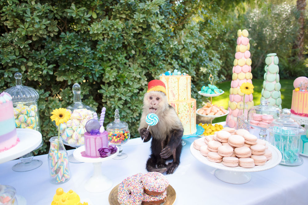 Photography by Gray Malin of Picnic Party I