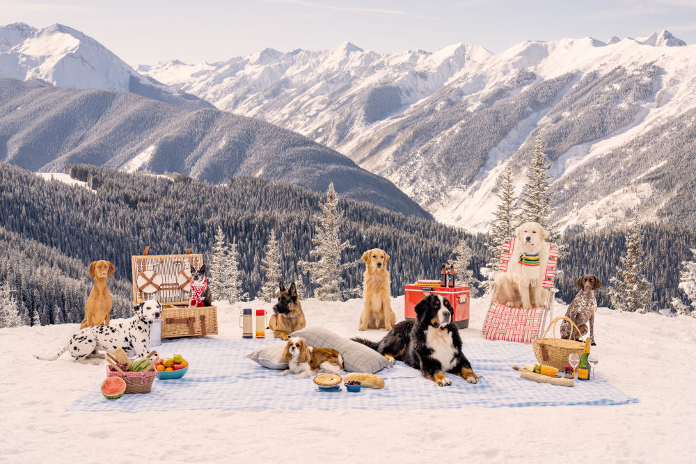 Photography by Gray Malin of Picnic Party, Top of Aspen Mountain