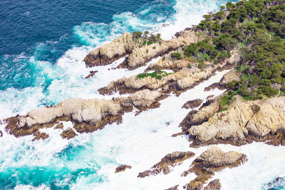 Photography by Gray Malin of Point Lobos