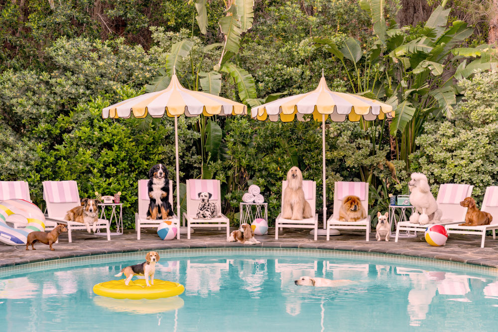 Photography by Gray Malin of Pool Day at the Parker