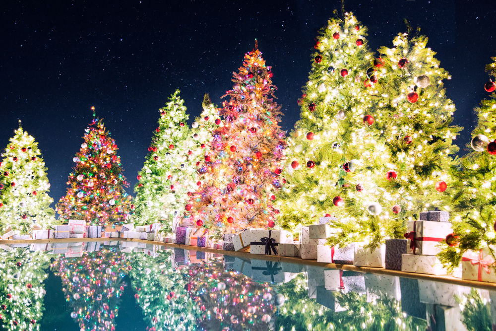 Photography by Gray Malin of Poolside Holiday