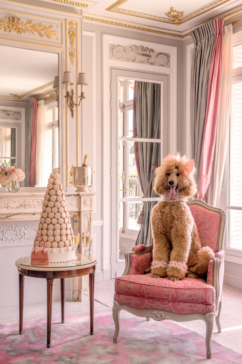 Photography by Gray Malin of Prestige Suite Poodle, Hôtel Plaza Athénée