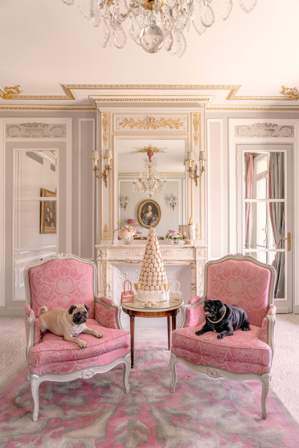 Photography by Gray Malin of Prestige Suite Pugs, Hôtel Plaza Athénée