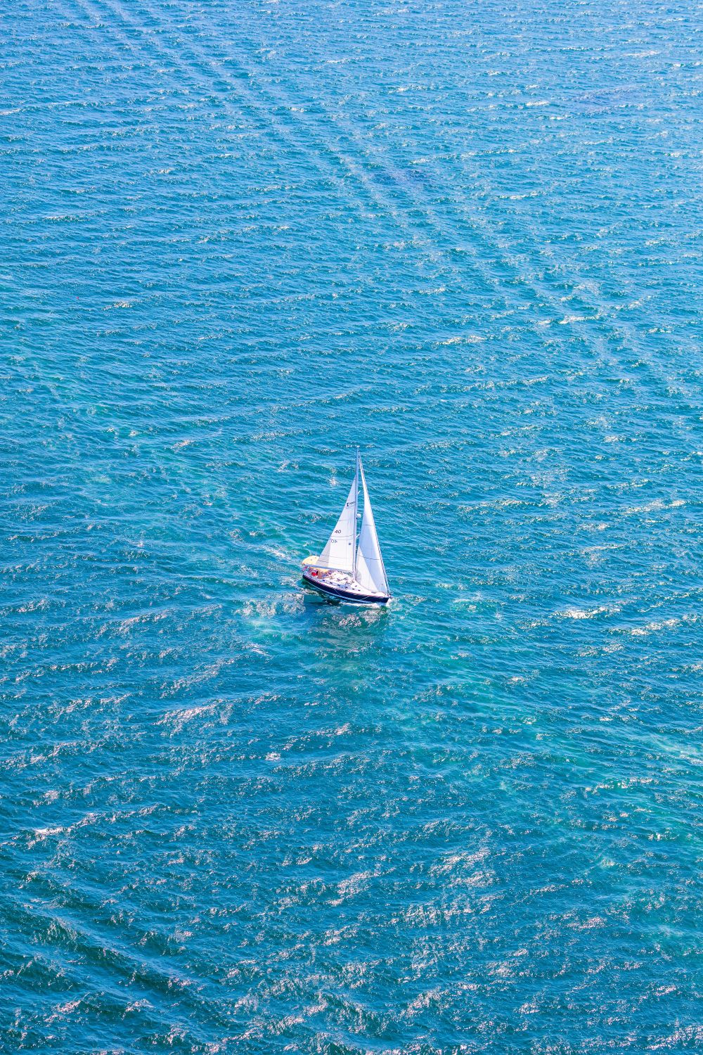 Photography by Gray Malin of Provincetown Sailboat, Cape Cod