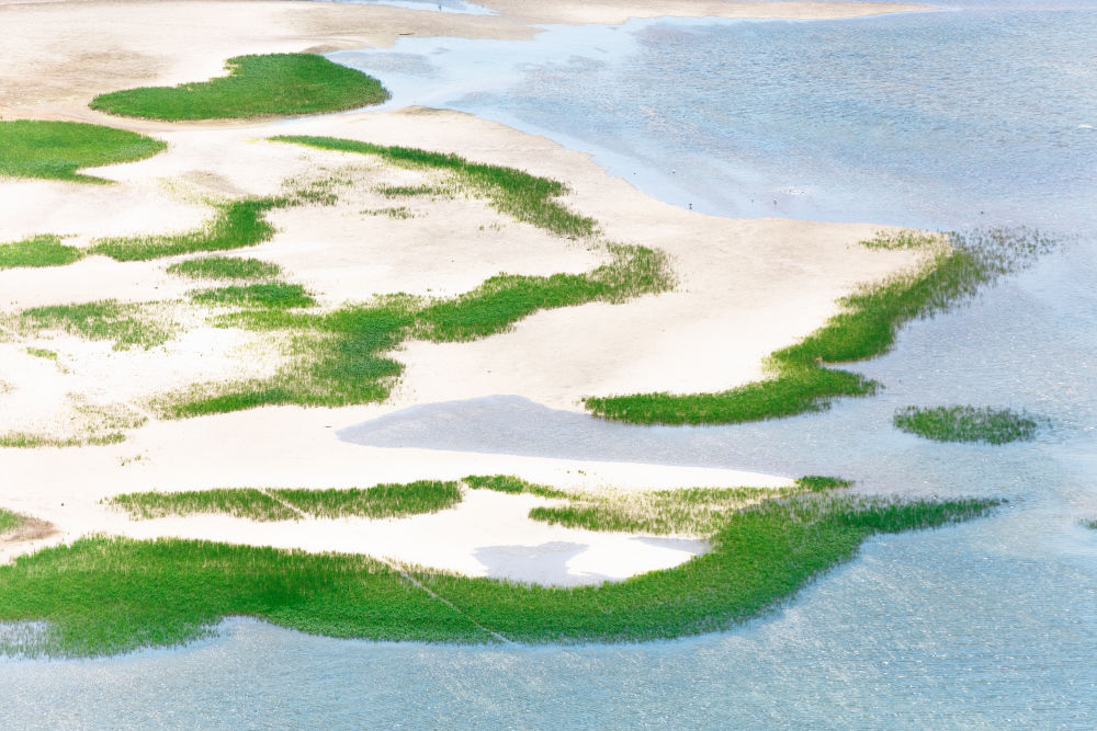 Photography by Gray Malin of Provincetown Seagrass, Cape Cod