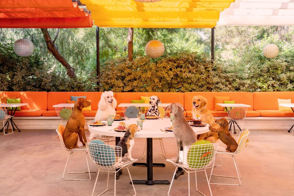 Photography by Gray Malin of Lunch at Norma's, Parker Palm Springs