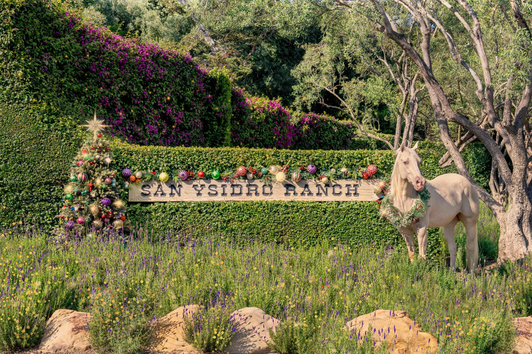 Photography by Gray Malin of Ranch Holiday