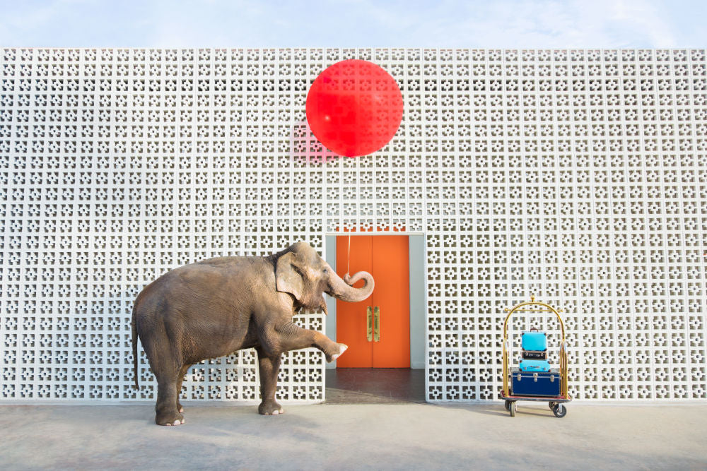 Photography by Gray Malin of Red Balloon II