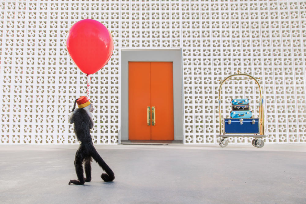Photography by Gray Malin of Red Balloon I