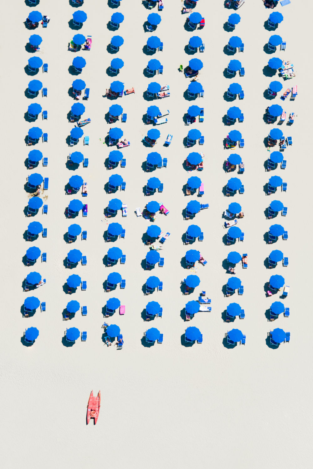 Photography by Gray Malin of Rows of Blue, Italy