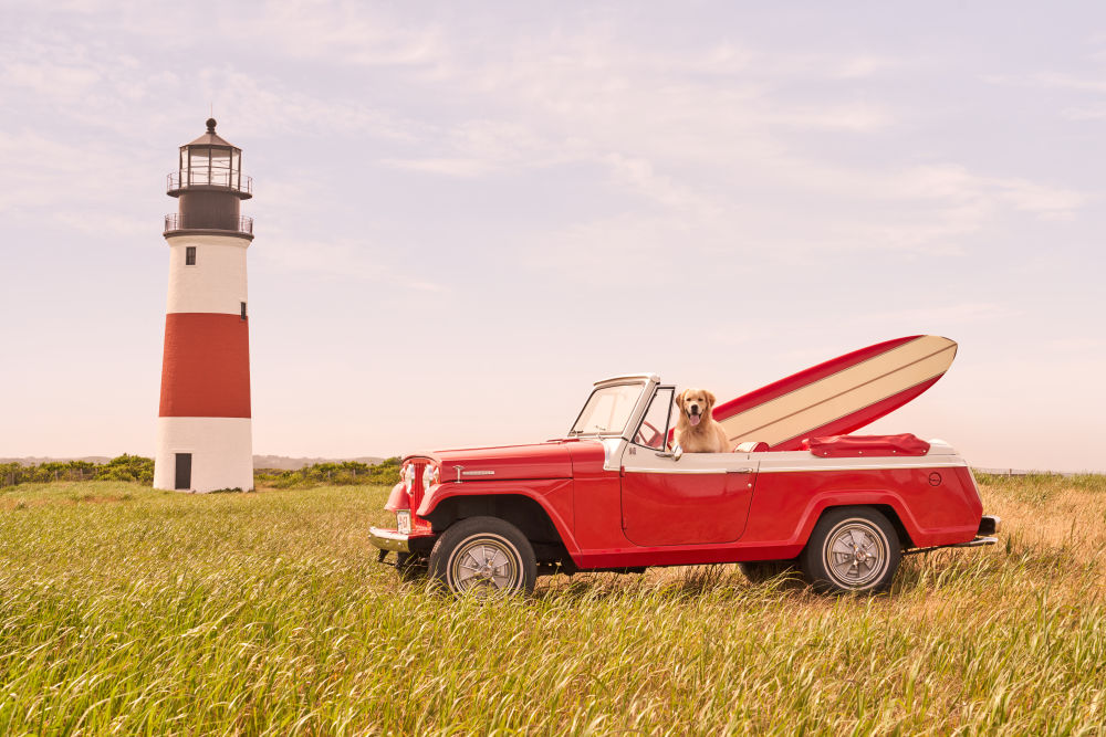Photography by Gray Malin of Sankaty Head Lighthouse Pup, Nantucket