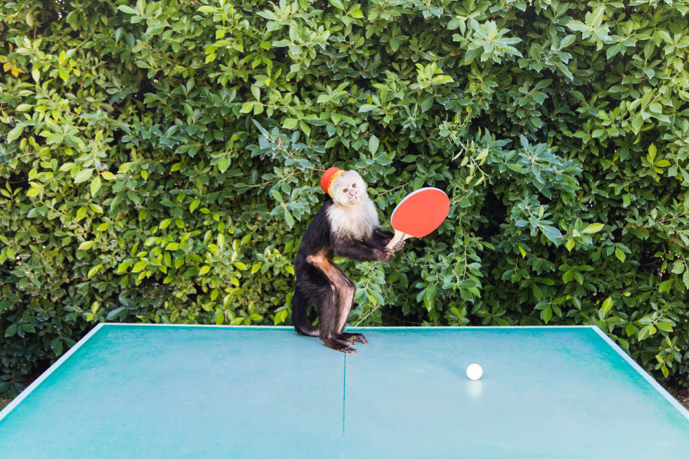 Photography by Gray Malin of Set Point