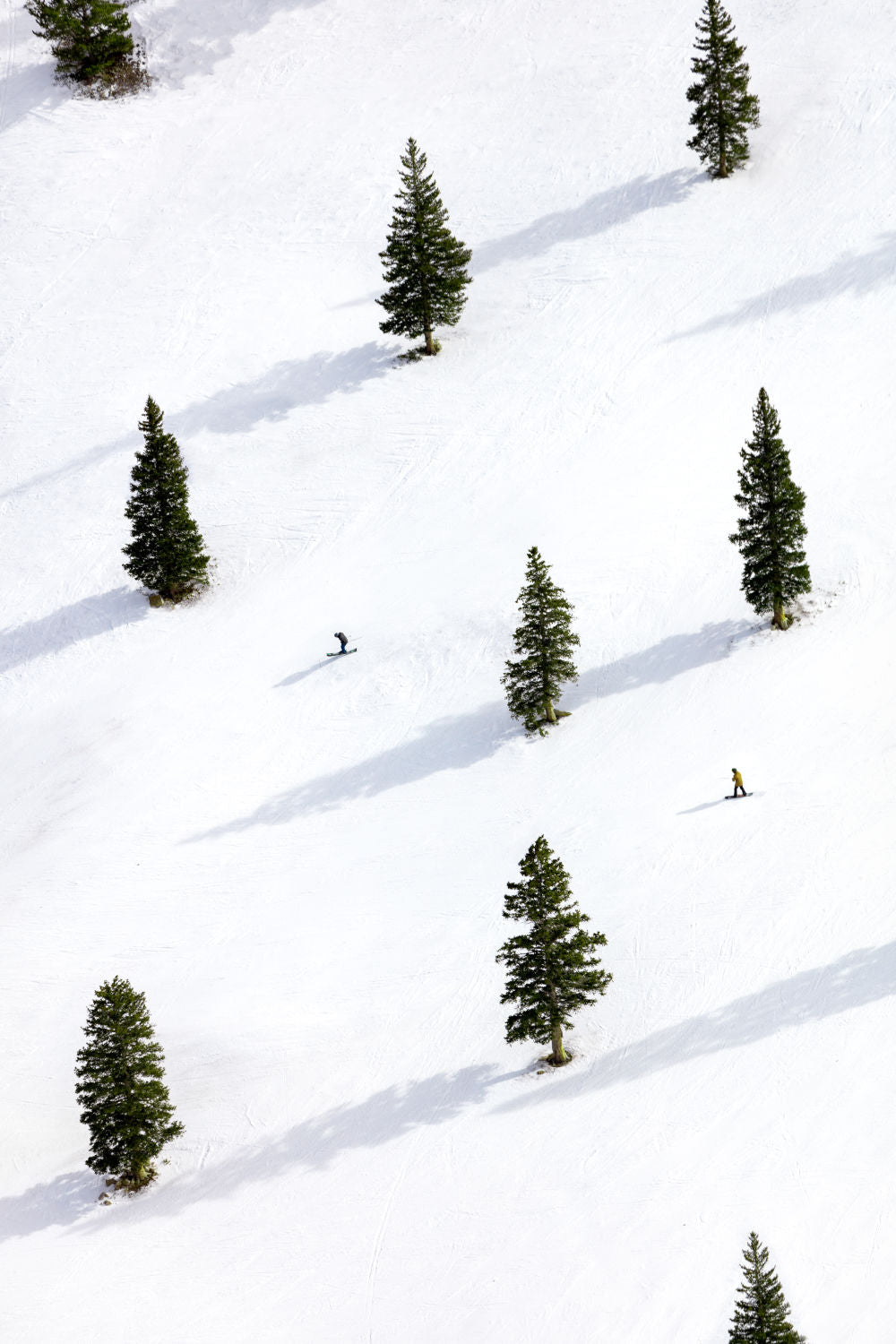 Photography by Gray Malin of Sheer Bliss, Aspen