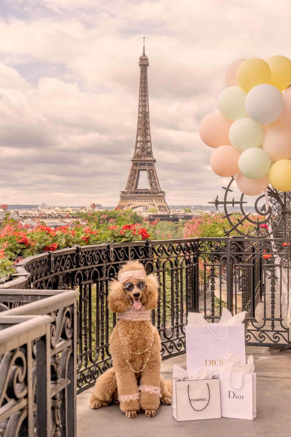 Photography by Gray Malin of Shopping Spree, Hôtel Plaza Athénée