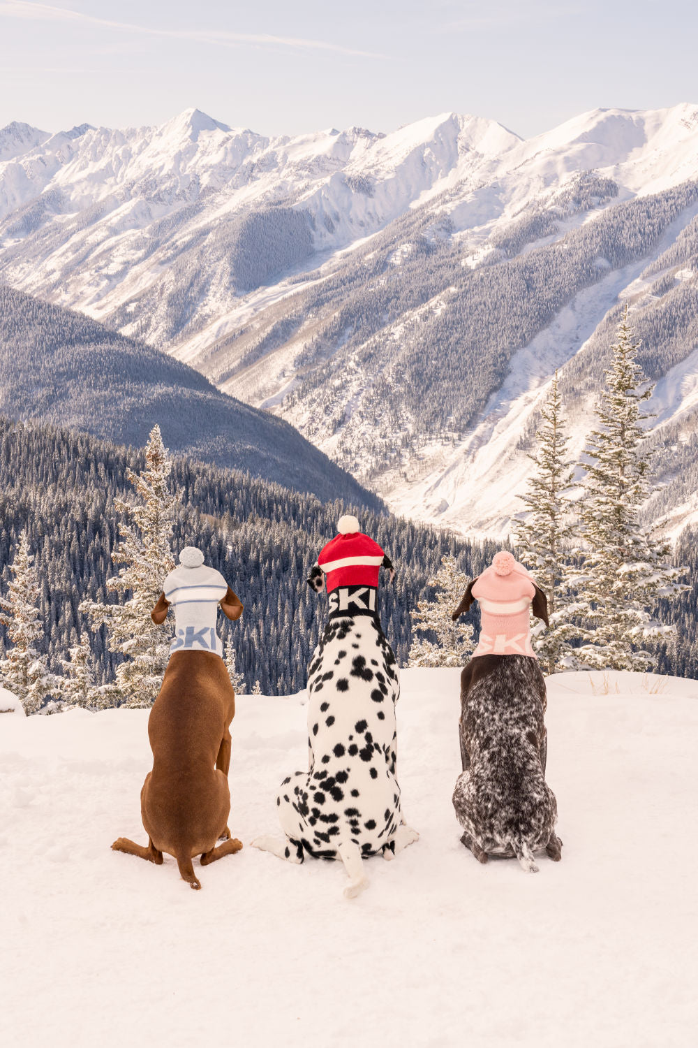 Photography by Gray Malin of Ski Pups, Aspen