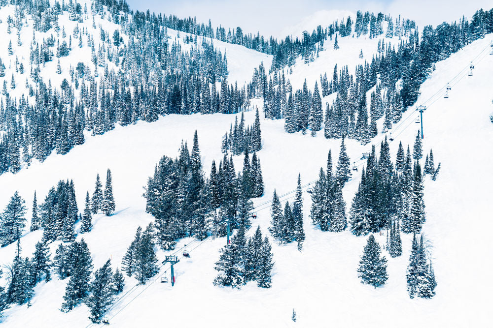 Photography by Gray Malin of Snowy Pines, Jackson Hole