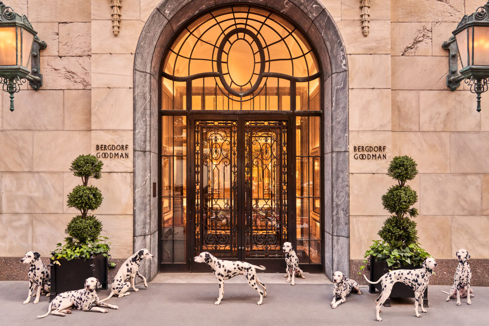 Photography by Gray Malin of Spotted at Bergdorf Goodman