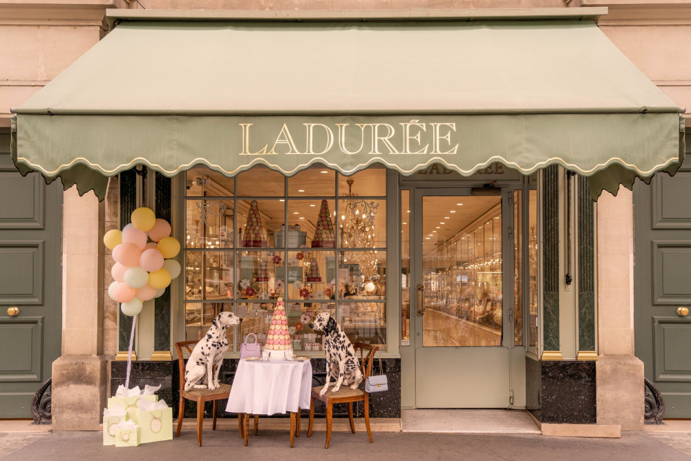 Photography by Gray Malin of Spotted at Ladurée, Paris