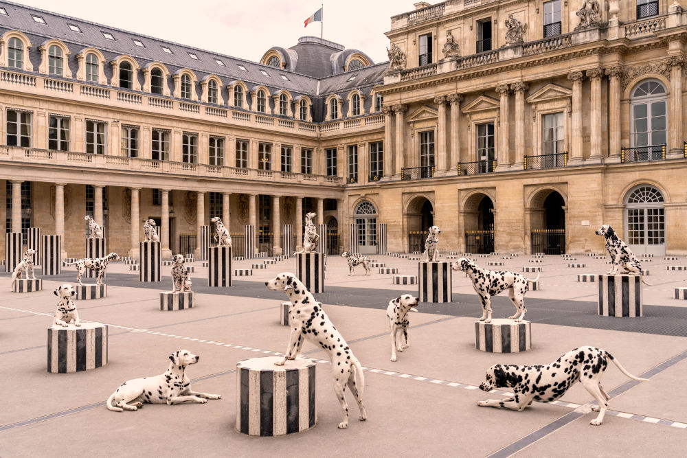 Photography by Gray Malin of Spotted at Palais-Royal, Paris