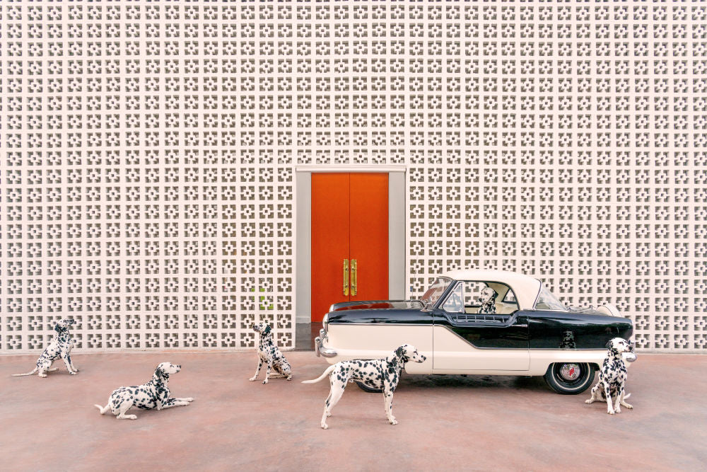 Photography by Gray Malin of Spotted at the Parker