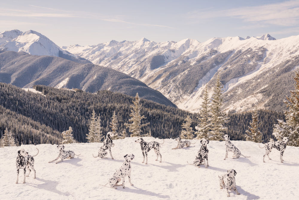 Photography by Gray Malin of Spotted at the Top of Aspen Mountain