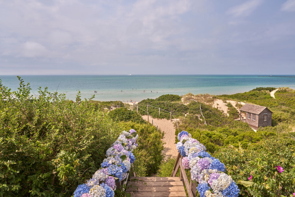 Photography by Gray Malin of Steps Beach Vista, Nantucket